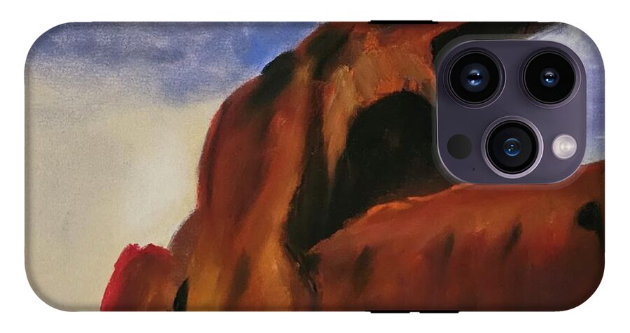 Arches National Park  - Phone Case
