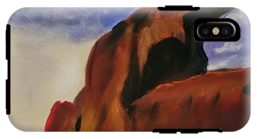 Arches National Park  - Phone Case