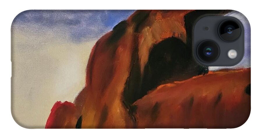 Arches National Park  - Phone Case