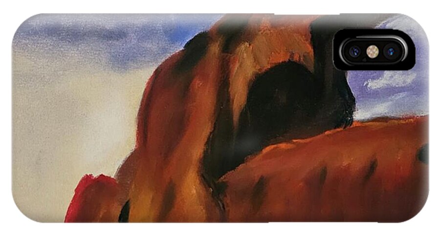 Arches National Park  - Phone Case