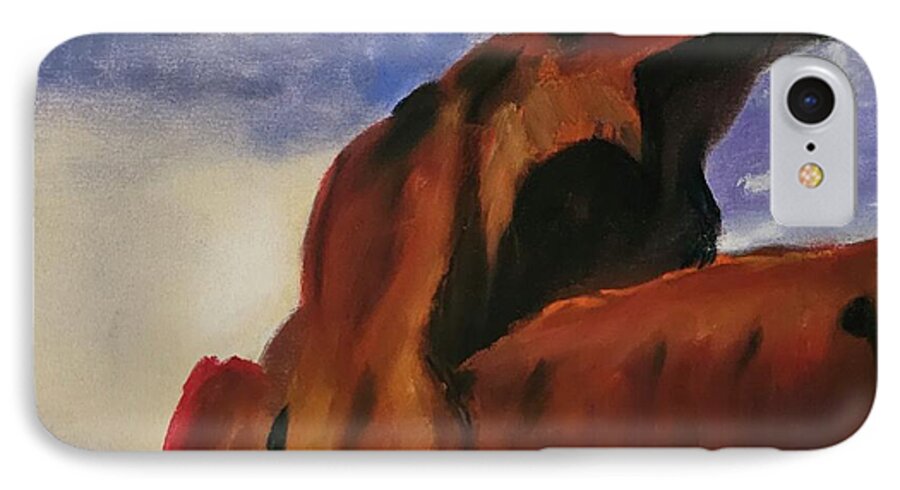 Arches National Park  - Phone Case
