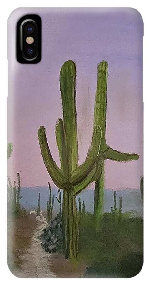 Saguaro National Park  - Phone Case