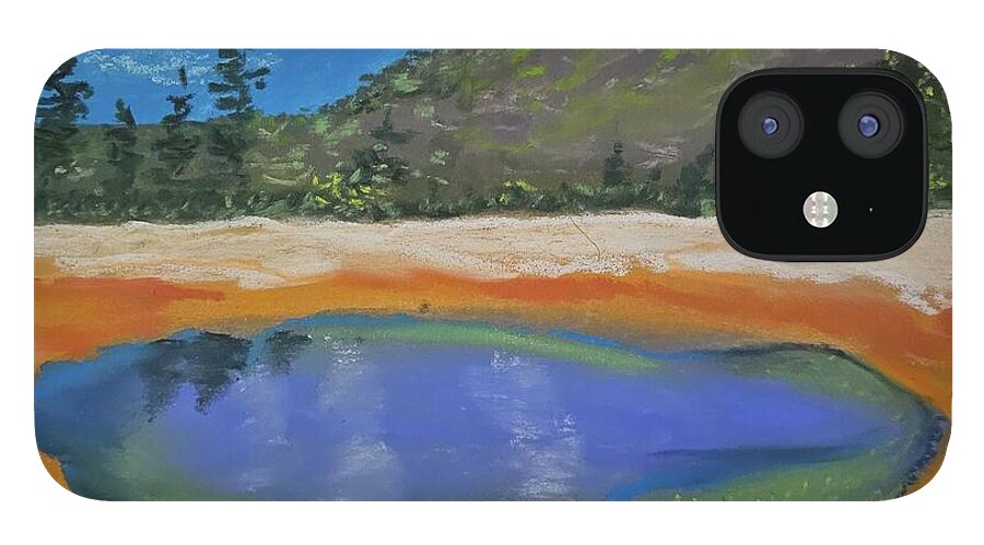 Yellowstone National Park  - Phone Case